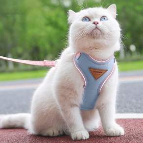 강아지 고양이 가슴형 목줄 이탈방지 외출