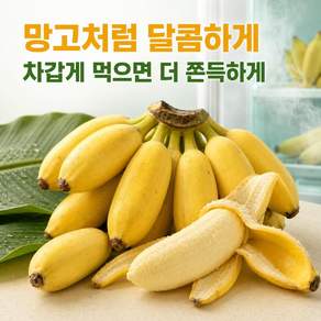 냉장고에 넣어 시원하게 먹는 쫀득 망고맛 바나나 KIFFJOIT