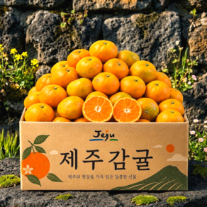 [한정수량] 땡큐미깡 고당도 제주 감귤