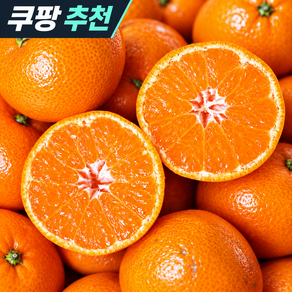 [백화점납품용] 한정특가 프리미엄 고당도 타이벡 감귤