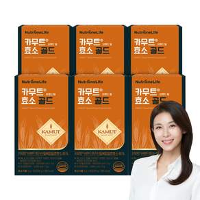 [무료배송/오늘출발] 뉴트리원 카무트효소 골드 곡물맛 발효효소 세트구성