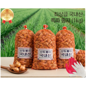 쪽파종자 1kg 국내산 쪽파씨 충남 서산 쪽파 모종 쪽파종구