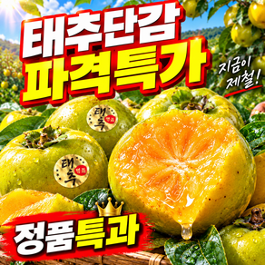 [한정초특가] 산지직송 정품 단감 태추단감