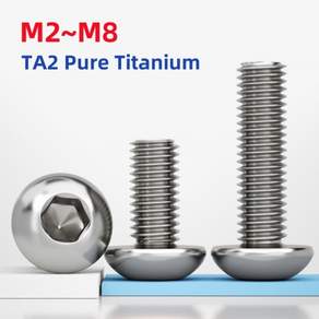 GB6170 M2 M2.5 M3 M4 M5 M6 M8 TA2 순수 티타늄 육각 나사 소켓 알렌 볼트 나사산 기계 금속