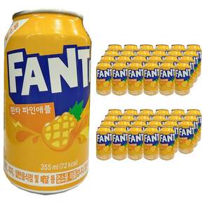환타 파인애플 355ml 48입 (P5)