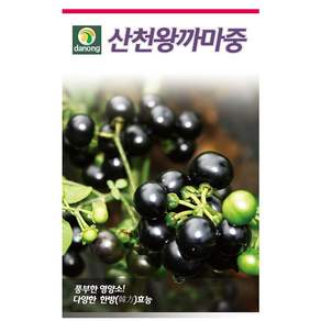 까마중씨앗 깜두라지종자 50립 가마중 까마종 블랙나이트쉐이드 blacknightshade