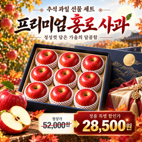 [부모님 효도선물] 명품 사과선물세트