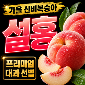 설홍 복숭아 고당도 가을의 신비 설홍복숭아 대과선별
