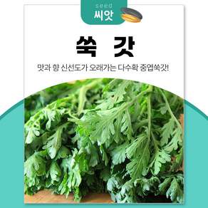 세경팜 맛과 향이 좋은 다수확 중엽쑥갓 씨앗 15g