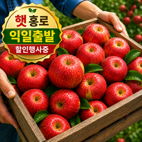 [익일출발] 당도선별 가정용 홍로사과 햇사과홍로 고당도 홍로사과