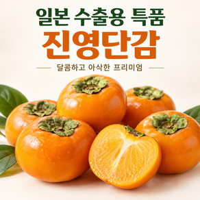 일본수출용 특품 진영 단감