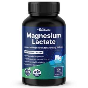 어스빌 젖산 마그네슘 락테이트 고함량 500mg