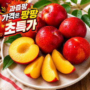 [250박스한정판매] 할인특가 새콤달콤 가을자두 추희자두