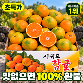 고당도 귤 감귤 제주감귤