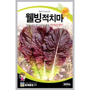 [주주씨앗] 적치마상추 3000립 / 가정에서도 손쉽게 키우는 적상추 종자 / 봄 파종 채소씨 씨앗몰