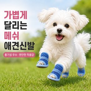 반려동물 여름 메쉬 샌들 강아지 통기성 산책화 미끄럼방지 소형견 신발