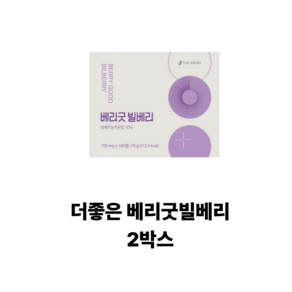 THEJOEUN 베리굿 빌베리, 100정, 2개