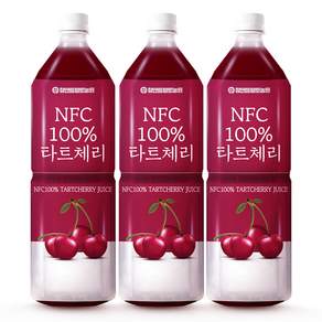 참앤들황토농원 NFC 착즙 타트체리주스