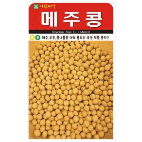 메주콩 씨앗 종자 씨