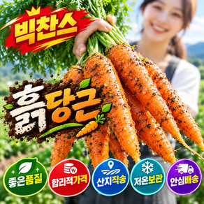우기네 산지직송 제주 당근 흙 햇