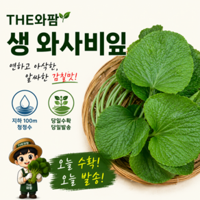 충북음성와사비잎