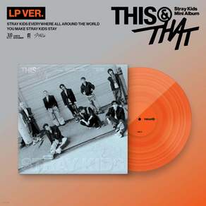 스트레이키즈 THIS & THAT LP VER 앨범 본품