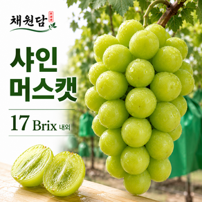 샤인머스캣