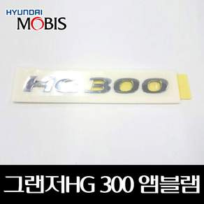 현대모비스 그랜져HG 엠블렘 HG300 로고