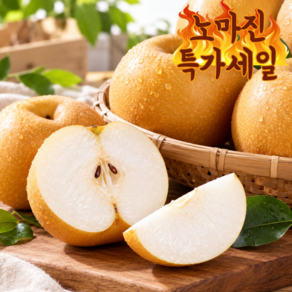 [노마진특가] 산지직송 당도선별 햇배 고당도 나주배 선물세트