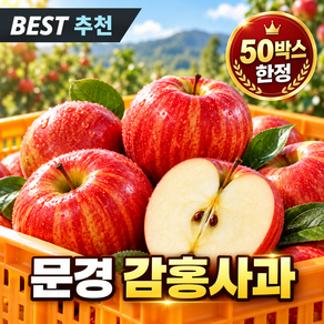 [하루50박스한정] 초특가 고당도 문경 감홍사과