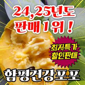 열대 망고 파인애플 바나나 풍미?? <<처음 먹어보는 과일>> 2026년 햇포포나무열매 1kg 2kg 3kg생산자 직판 직배송 영양가 고당도 함평건강 포포과일