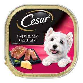 시저 1세 이상 강아지 주식캔