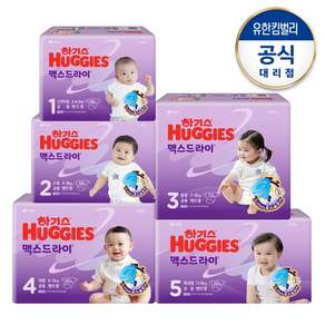 2024 맥스드라이 밴드형 15단계 1팩구성