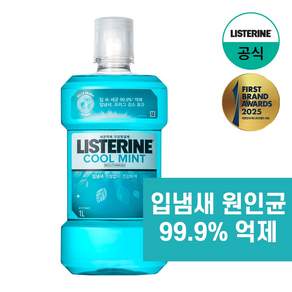 리스테린 쿨민트 구강청결제