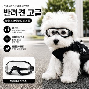 퓨처 반려견 고글 선글라스 방풍 강아지 안경 소형견 중형견 외출 보호용 애견 패션 아이템