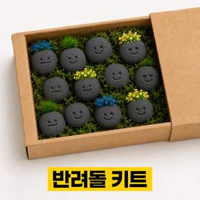 디심플 반려돌 만들기 DIY 돌 클레이 키트