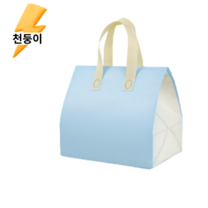 천둥이몰 일회용 보냉백 보냉팩 미니 봉투 손잡이 은박 50개