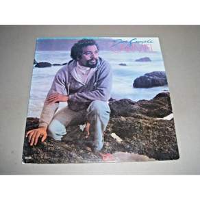Joe Sample Feat.lalah Hathaway Vinyl 비닐 LP 레코드 carmel 미국 발송