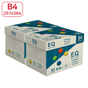 이큐베이지 EQ Beige 80g B4 용지 미색