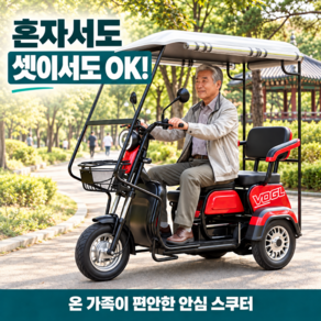 리코안 세발 전동 스쿠터 전기 자전거 어른신 전동차 짐받이 캐노피