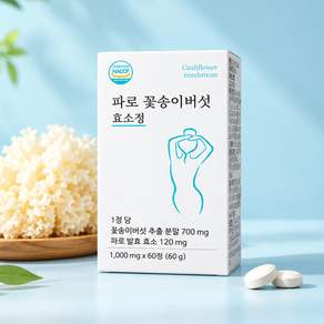꽃송이버섯 효소 파로 발효 정 베타글루칸 간편한 분말 정제
