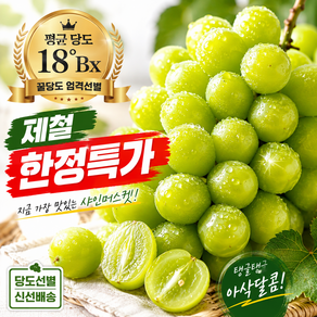 [제철한정특가] 당일수확 상큼톡톡 당도보장 샤인머스캣
