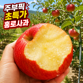 [주부픽 한정특가] 아삭한 고당도 홍로 사과 햇사과