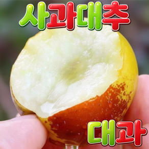 [달보드레농원] 아삭달콤 과즙팡팡 사과대추