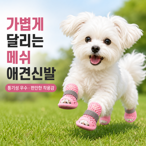 반려동물 여름 메쉬 샌들 강아지 통기성 산책화 미끄럼방지 소형견 신발