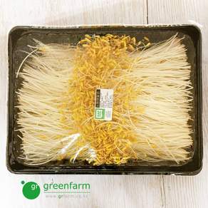 황금메밀순 1팩(500g)