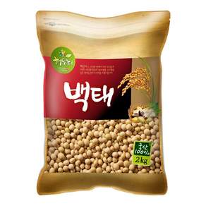 현대농산 국산 백태 메주콩 두유콩 콩국수용 2kg