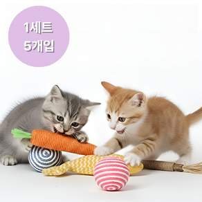 샤샤픽 이갈이 고양이 장난감