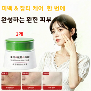 크림 기미 잡티 미백 기미크림 멜라토닝 크림 수분크림 미백크림 기미 잡티 제거 크림
