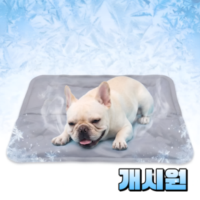 지티오비 강아지 쿨젤매트 냉감패드 애견 쿨매트 포메라니안 프렌치불독 시바견